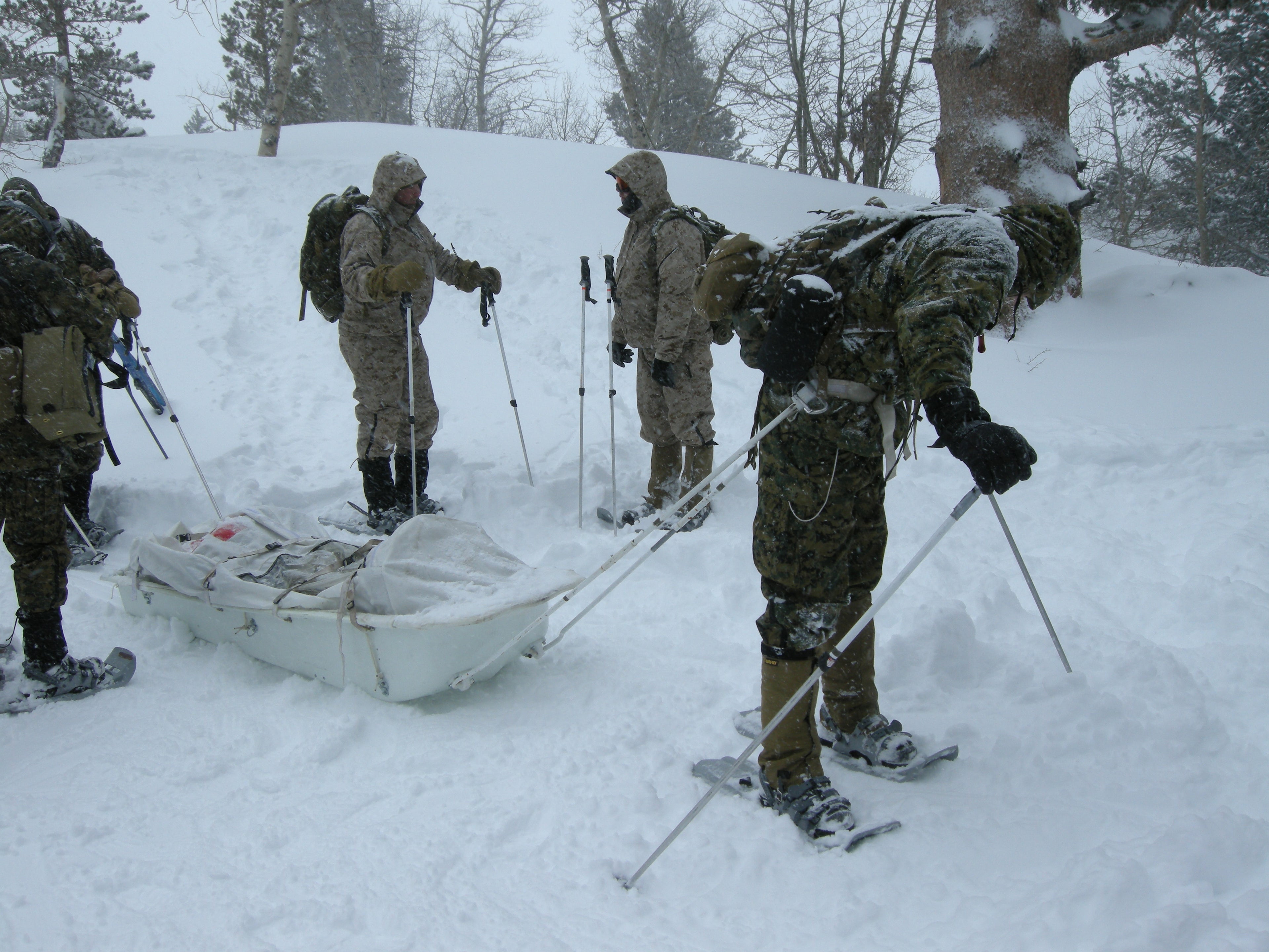 Medivac UMAX Casevac Ahkio Sled